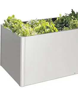 Truhlíky Biohort Zvýšený kvetináč na zeleninu BIOHORT 103 x 54,7 x 77 cm (strieborná metalíza)
