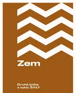 Svetová beletria Živly 2: Zem - John Boyne,Otto Havrila