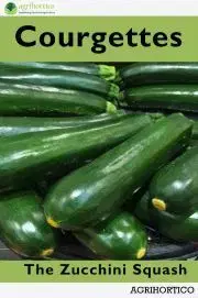 Hobby - ostatné Courgettes