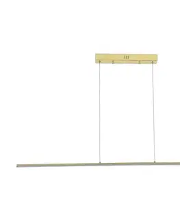 Svietidlá Zuma Line MS903-GD - LED luster na lanku ESERO LED/20W/230V zlatá MS903-GD