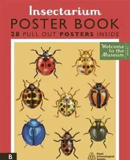Umenie - ostatné Insectarium Poster Book - Dave Goulson,Emily Carter