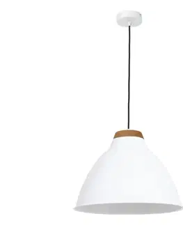 Svietidlá  Luster SKAL 1xE27/60W/230V 9189