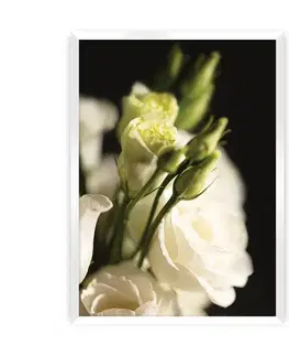 Obrazy Plagát Dark Flowers I