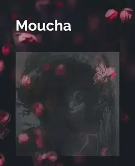 Česká beletria Moucha - Ladislav Petrecký