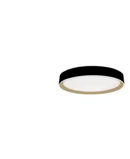 Svietidlá  LED Stmievateľné stropné svietidlo s hlasovým ovládaním OPAL LED/48W/230V + DO LC902MBV