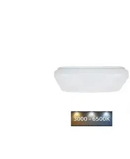 Svietidlá  LED Stropné svietidlo OPAL LED/36W/230V 3000-6500K + diaľkové ovládanie LCL534S/S