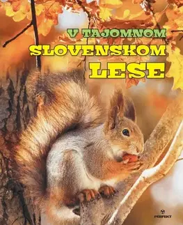 Krížovky, hádanky, hlavolamy V tajomnom slovenskom lese - Roman Jadroň,Miroslav Saniga