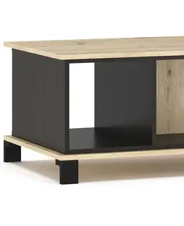 Obývacie steny NABBI Vinap obývacia izba dub artisan / wenge tmavá