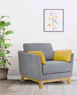 Kreslá NOACH štýlové kreslo šedá/žltá
