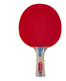Pingpongové rakety Pingpongová raketa inSPORTline Shootfair S6