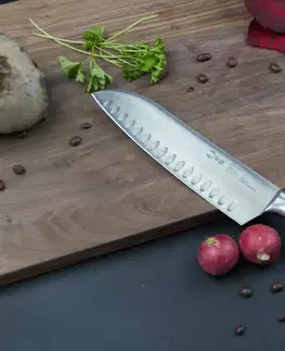 Kuchynské nože IVO Nôž Santoku IVO Premier 18 cm 90322.18