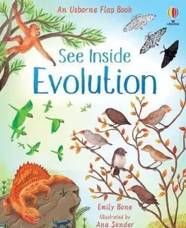 Leporelá, krabičky, puzzle knihy See Inside Evolution - Emily Bone,Ana Sender