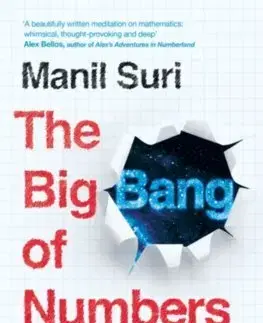 Matematika, logika The Big Bang of Numbers - Manil Suri