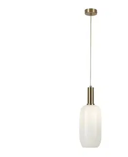 Svietidlá Rabalux - Luster na lanku 1xE27/60W/230V 5224