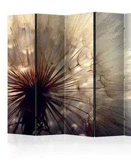 Paravány Paraván Dandelion Kiss Dekorhome