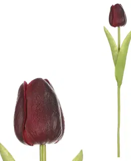 Kvety Umelý penový Tulipán mini, tmavočervená, 5 x 5 x 34 cm