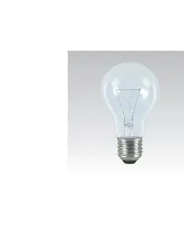 Žiarovky  Priemyselná špeciálna žiarovka E27/100W/24V 339005000