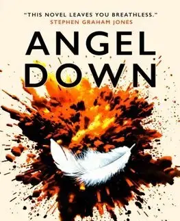Detektívky, trilery, horory Angel Down - Daniel Kraus