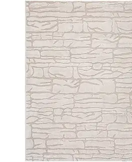 Moderné koberce Koberec Alloy 0,8/1,2 18 B6X J
