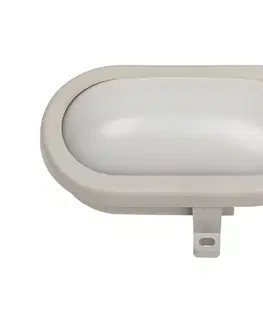 Svietidlá Rabalux 8694 - Vonkajšie nástenné svietidlo MUMBAI 1xLED/7W/230V 8694