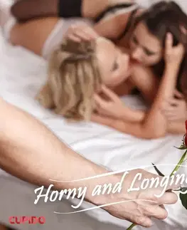 Erotická beletria Saga Egmont Horny and Longing (EN)