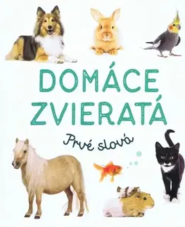 Leporelá, krabičky, puzzle knihy Domáce zvieratá - Prvé slová