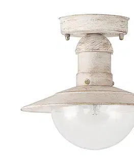 Záhradné lampy Rabalux 8739 - Vonkajšie stropné svietidlo OSLO 1xE27/60W
