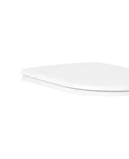 Svietidlá GROHE 39577001 - WC sedátko ESSENCE duro-biela 39577001