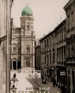 Slovenské a české dejiny Vydrica: Historická – hriešna - Anton Baláž