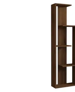 Knižnice Knižnica Wand - Walnut