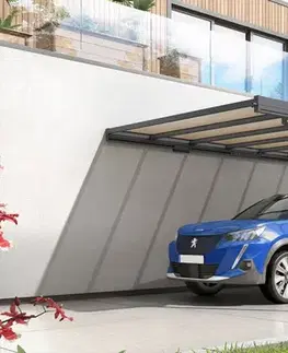 Záhrada Kovový prístrešok / Carport ku stene 298 x 509 cm Dekorhome