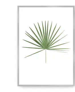 Obrazy Plagát Tropical Leaf Green