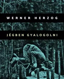 Film, hudba Jégben gyalogolni - Werner Herzog