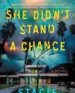 Detektívky, trilery, horory She Didn't Stand a Chance - Stacie Grey