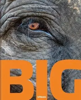 Fotografia Big - Marko Dimitrijevic,Amos Nachoum
