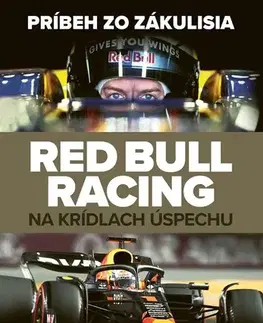 F1, automobilové preteky Red Bull Racing: Na krídlach úspechu - Ben Hunt