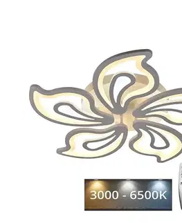 Svietidlá  LED Stmievateľný prisadený luster LED/125W/230V 3000-6500K + DO J3316/W