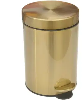 Kovové koše Odpadkový kôš FTC001B-3L zlatý