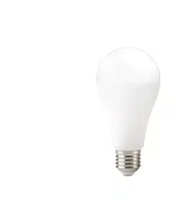 LED osvetlenie  LED žiarovka GS E27/22W/230V 4000K 004299
