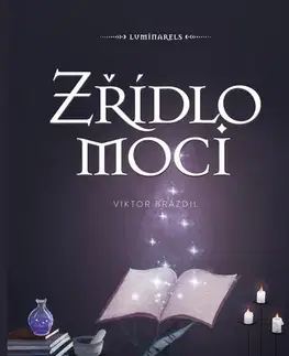 Young adults Zřídlo moci - Viktor Brázdil