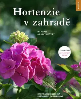 Okrasná záhrada Hortenzie v zahradě - Martina Meidingerová
