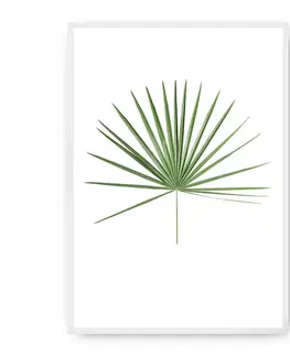Obrazy Plagát Tropical Leaf Green