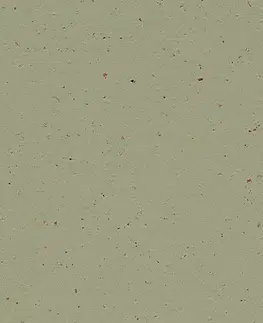Marmoleum solid cocoa FORBO Marmoleum solid cocoa Matcha 3593