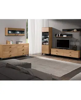 Vitríny KONDELA Siran Typ 2 jednodverová vitrína dub lefkas / čierna