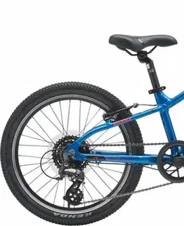 Detské bicykle Genesis Evolution JR20 MTB Kids Veľkosť: 20