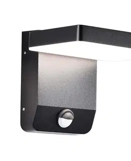 LED osvetlenie  LED Vonkajšie nástenné svietidlo so senzorom LED/17W/230V 4000K čierna 2949