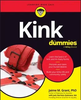 O mužoch a ženách Kink For Dummies - Jack Harrison-Quintana,Jaime M. Grant
