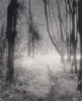Cudzojazyčná literatúra Ghost Stories - M. R. James