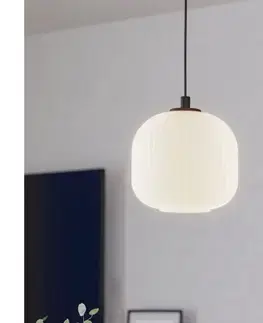 Svietidlá Eglo 99366 - Luster na lanku MANTUNALLE 1xE27/40W/230V 99366