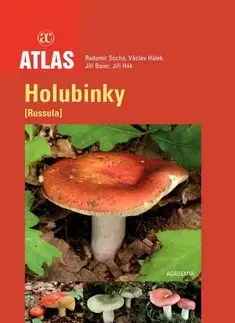 Príroda Holubinky - Radomír Socha